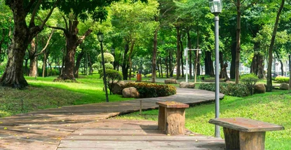 891.jpg