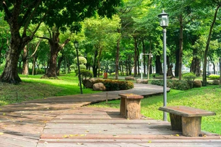 891.jpg
