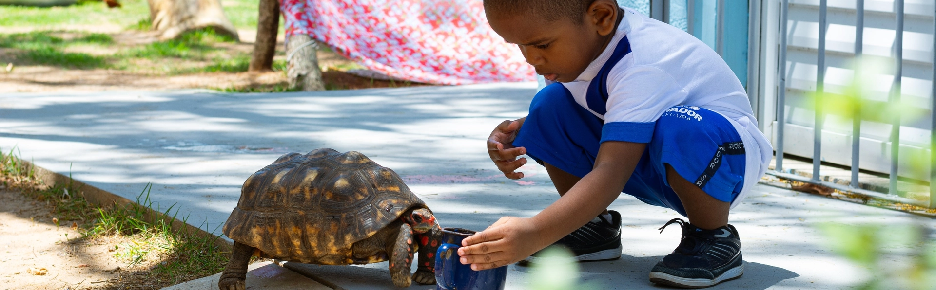 patio-naturalizado-cmei-boca-do-rio_@isabelabugmann.fotografia-73